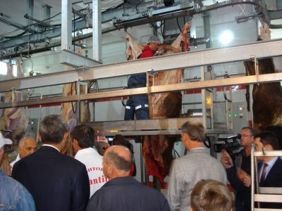 Türk Kızılayı Kosova’da 102 Büyükbaş Kurban Kesti